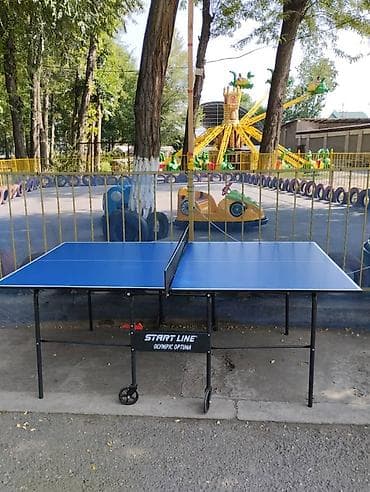 требуется диджей в кафе: Детская зона развлечений / аттракционы - Электромобили-«тарантайки» — 4