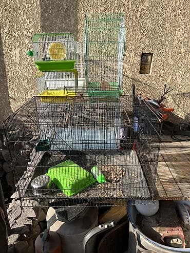 Ветеринар кызматы: Продаю клетки 3 клетки для попугаев 3 маленькие для хомяков и одна — 3