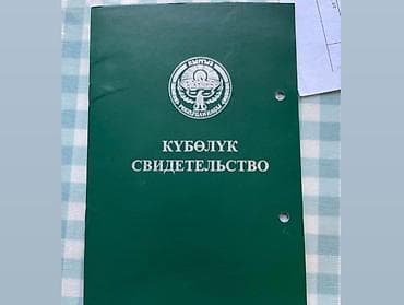 там алам: 500 соток — 1