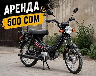 аренда питинитка: Сдаю мопед, Для доставки, Посуточно — 1