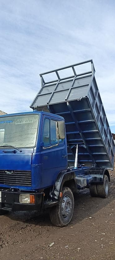 55 amg: Грузовик, Mercedes-Benz, Б/у — 1