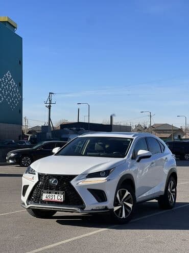 Транспорт: Lexus NX: 2020 г., 2 л, Автомат, Бензин, Кроссовер — 1