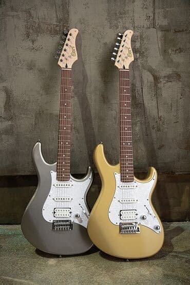 полуакустическая электрогитара: Крепление грифа	на болтах Корпус	липа Ширина верхнего порожка	42мм — 3