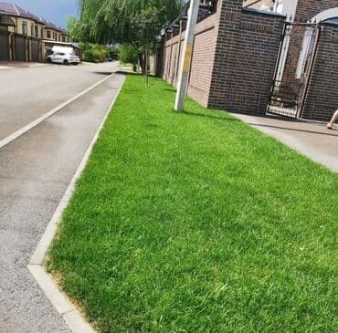 🟢 Посев газона 🟢 Ландшафтный дизайн 🟢 Газон 🟢Сеем газон 🟢