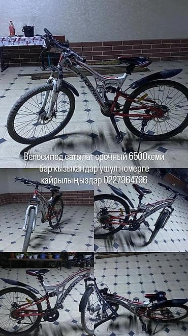 e scooter: Горный велосипед, Алюминий — 1
