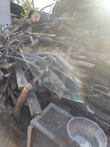 бактар: Лиственница — 3