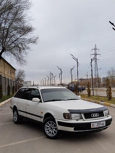 bwb e34: Audi 100: 1994 г., 2 л, Механика, Бензин, Универсал — 1