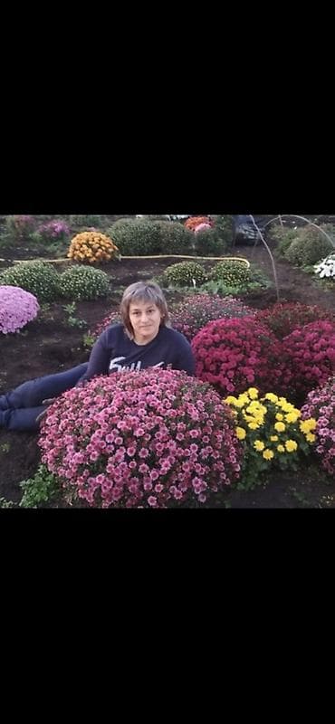 Дом и сад: Саженцы Бесплатная доставка — 1