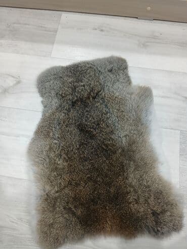 купить инкубационное яйцо с доставкой в регионы: Продаю | Кролик самец | Фландр | На забой | Племенные — 1