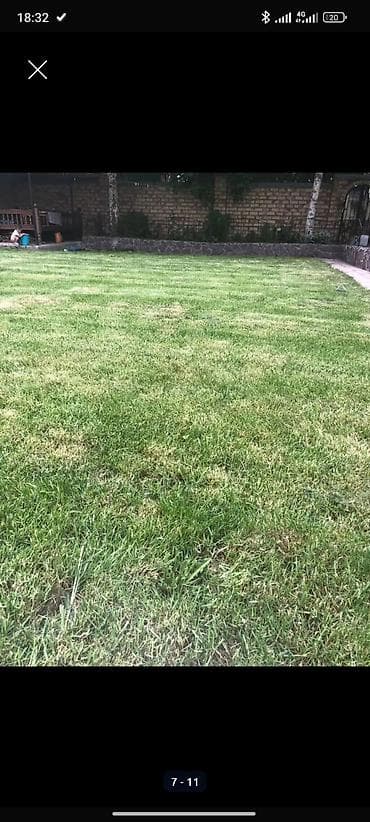 косим траву: Уборка территории, Стрижка газона — 2