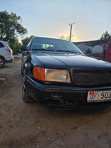 Audi 100: 1991 г., 2.6 л, Механика, Бензин, Седан