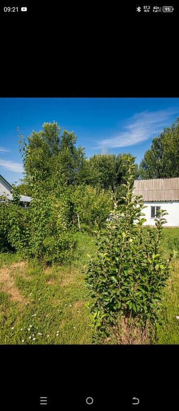 дом фучика: Дом, 30 м², 1 комната — 1