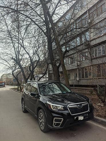 forester 2003: Subaru Forester: 2019 г., 2.5 л, Вариатор, Бензин, Кроссовер — 3