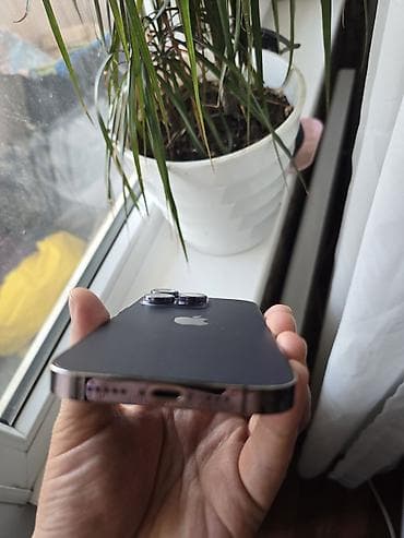 canon pixma mx394: IPhone 14 Pro, Б/у, 128 ГБ, Deep Purple, Зарядное устройство, 81 % — 2