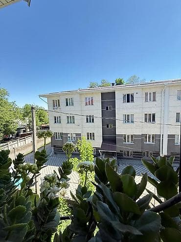 23: 1 комната, 24 м², Индивидуалка, 3 этаж — 8