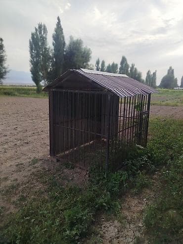 Комплект автозапчастей - Корпуса наружных зеркал заднего вида (2 — 1