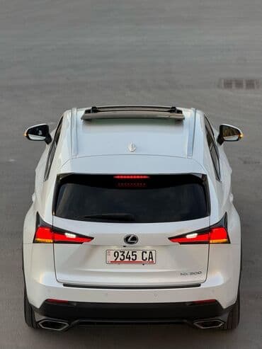 Lexus NX: 2018 г., 2 л, Автомат, Бензиновая, Кроссовер