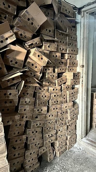 Ашкана буюмдары: Ящик — 2