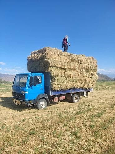mercedes 711: Грузовик, Mercedes-Benz, Стандарт, Б/у — 2