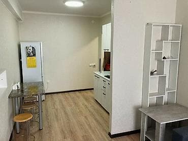 автомо: 1 комната, 27 м², Индивидуалка, 8 этаж, Косметический ремонт — 5