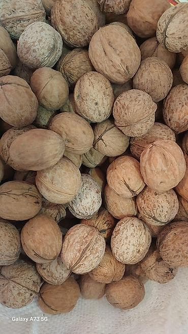 гейнер цена бишкек: Грецкий орех 120 сом за кг 
Если самовывоз дешевле. Около 50 кг — 1