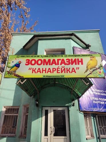 сколько стоит 1 кг домашних пельменей: Волнистые попугаи особо отличаются болтливостью довольно легко — 6