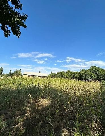 ысык куле: 27 соток, Кызыл китеп — 7