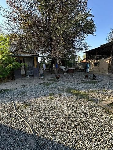 пишпек сдаю: Срочно продаю дом 8 соток по факту по больше барачного типа имеется — 9