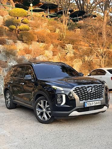 tsunami 100: Hyundai Palisade: 2019 г., 2.2 л, Автомат, Дизель, Кроссовер — 2