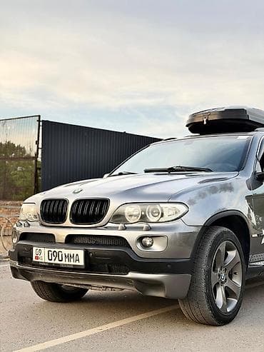 BMW: BMW X5: 2006 г., 4.4 л, Автомат, Бензин, Кроссовер — 10
