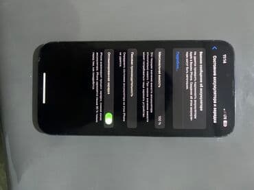 Трансформатор майы: IPhone 13 Pro, Көгүлтүр, 100 % — 2