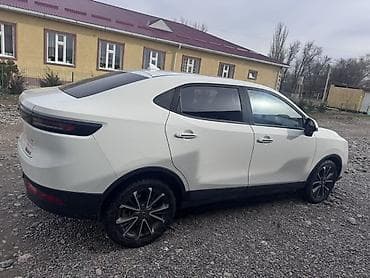 BYD: BYD : 2019 г., Автомат, Электромобиль, Кроссовер — 7