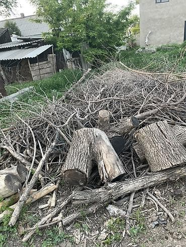 Дрова