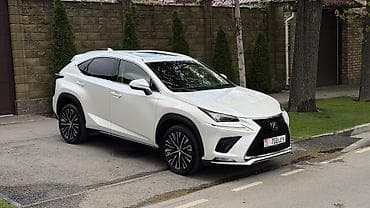 Lexus NX: 2019 г., 2 л, Бензин, Кроссовер