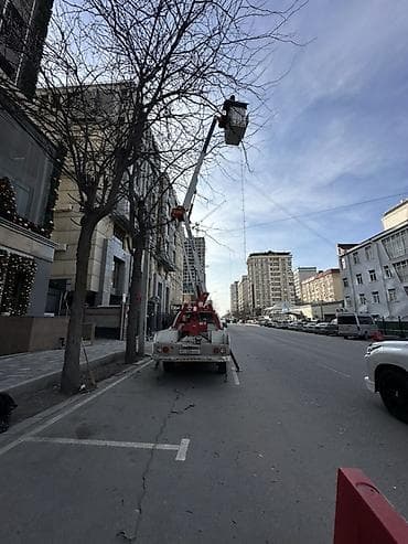 12 pro mac: Стрела 12 м, 200 т — 1