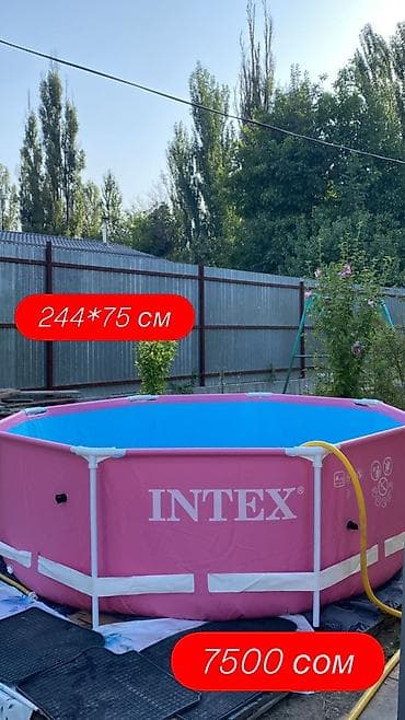 Каркасный бассейн Intex, розовый. - Размер: 244 × 75 см (указано на at lalafo.kg Каркасный бассейн Intex, розовый. - Размер: 244 × 75 см (указано на
