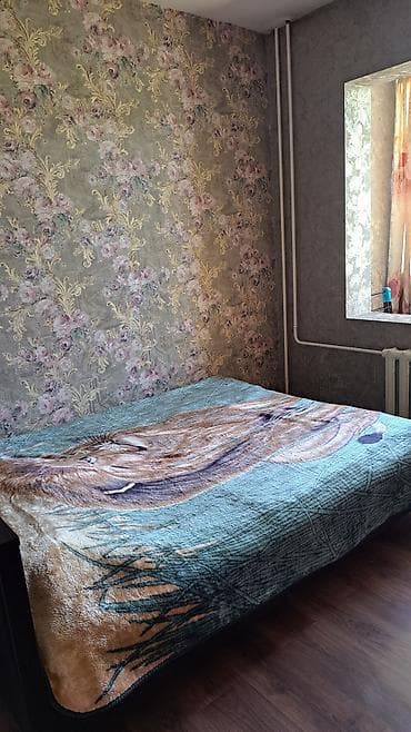 3 бөлмө, Менчик ээси, Жаныбарлары жок, 6 айдан баштап, Толугу менен эмереги бар — 6