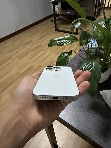 black xbox: IPhone 15 Pro, Б/у, 256 ГБ, White Titanium, Чехол, Кабель, Коробка, 98 % — 6
