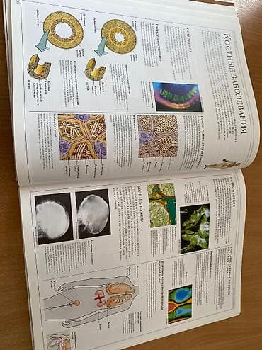 продаю боди: Книга «Человеческое тело» Dorling Kindersley, под редакцией Тони Смита — 5