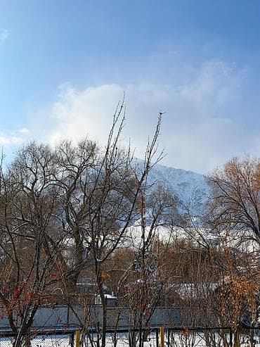 нижний ала арча: 5 соток, Для бизнеса, Красная книга — 4