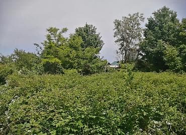 4 соток, Для строительства, Красная книга, Договор купли-продажи at lalafo.kg 4 соток, Для строительства, Красная книга, Договор купли-продажи