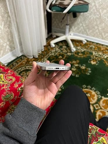 айфон 13 про макс люкс копия: IPhone 15 Pro, 256 ГБ, Natural Titanium — 5