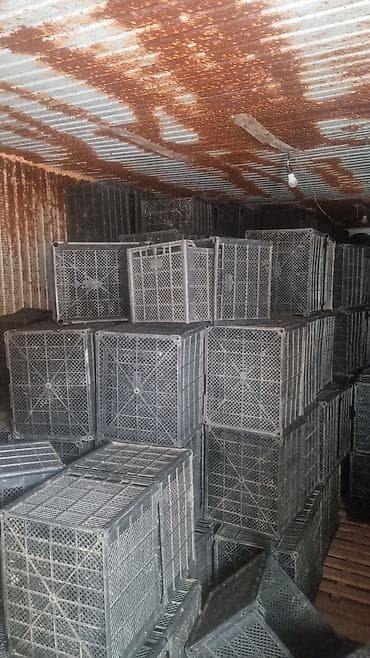 бу холоделник: Промышленный холодильный агрегат (конденсационный блок с компрессором) — 2