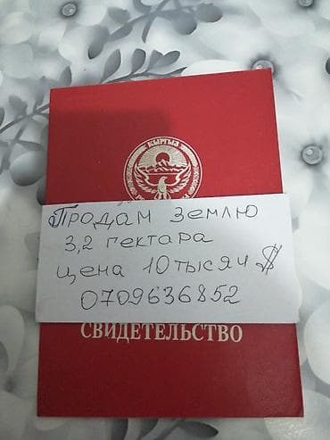 тынчтык ж м: 320 соток, Айыл чарба үчүн, Техпаспорт — 3