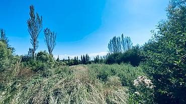 ыссык куль аренда: 15 соток, Айыл чарба үчүн, Сатып алуу-сатуу келишими, Белек келишими — 1