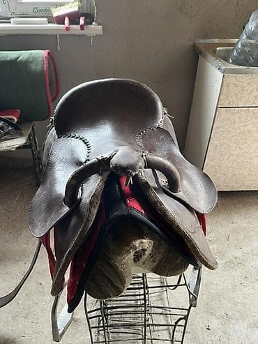 каракол собаки: Кыргыз ээр жана жугон Жазалышы: кожыный оюм чийими бар, колго — 3