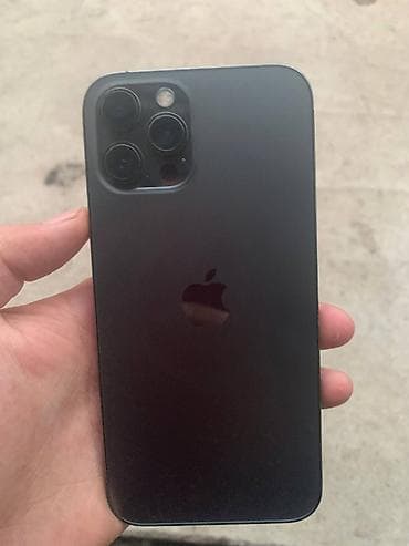 IPhone 12 Pro Max, Черный
