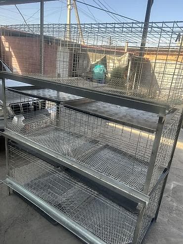 Собаки: Многоярусная клеточная батарея для птицы Высота 165 Ширина 142 — 1