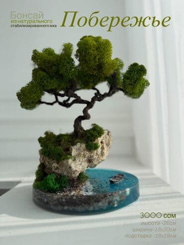 растения в офис: Миниатюрная Интерьерная Композиция Декор для дома и офиса «Бонсай» из — 1