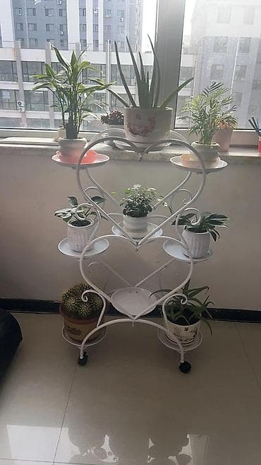 бүт койгуч: Гүлдөр үчүн текче, этажерка, Жаңы, Темир, Акылуу жеткирүү — 6